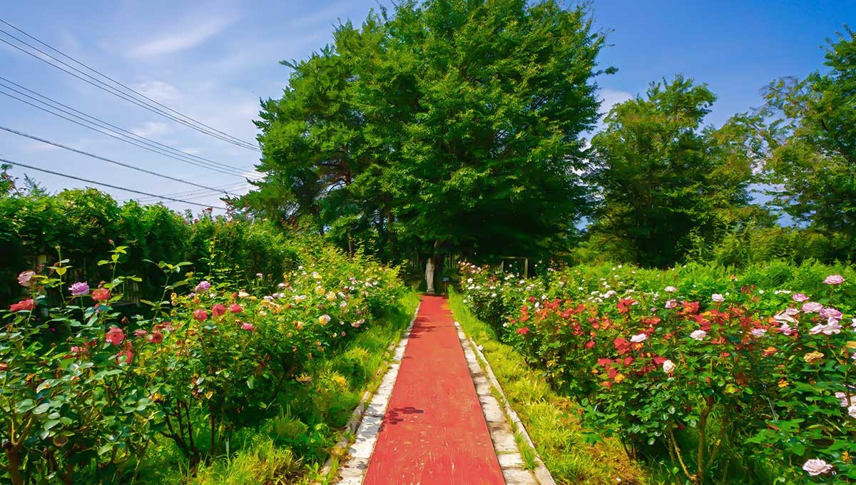 ハイジの村|愛の女神