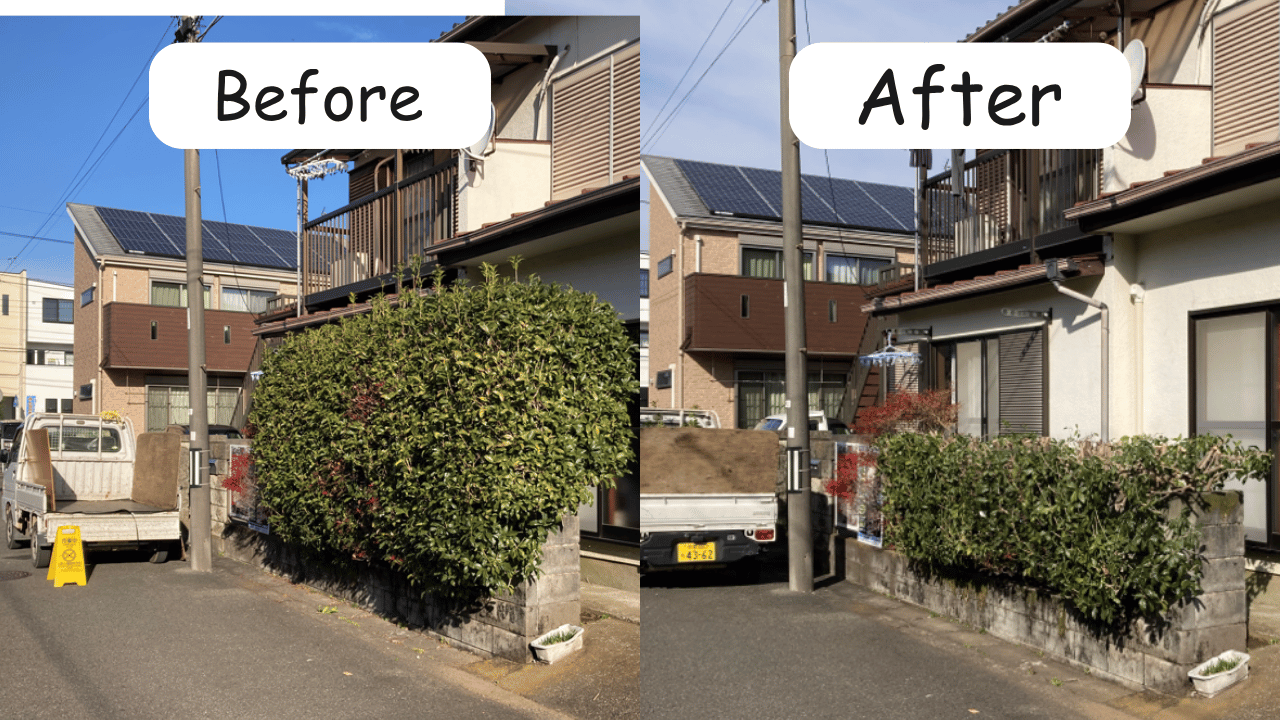 庭木の剪定の様子