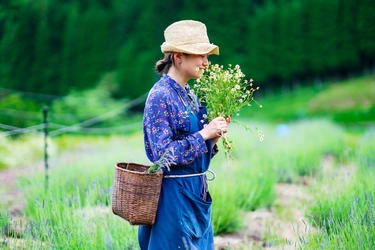 参加費無料の体験もご用意！5つの集中リトリート体験を 善玉菌リトリート施設HOLY FUNGUSで実施