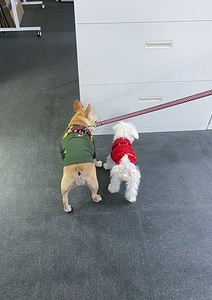 N0XajeQzdgZgCpRcSgc6.jpg?w=940&h=940