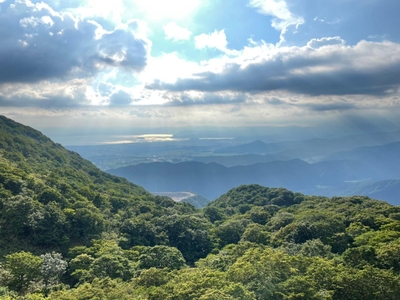 N1G5iwVQUeJq8UoYd80x.jpg?w=940&h=940