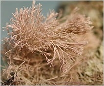 N1GTroKxjqW1iu9ircGg.jpg?w=940&h=940