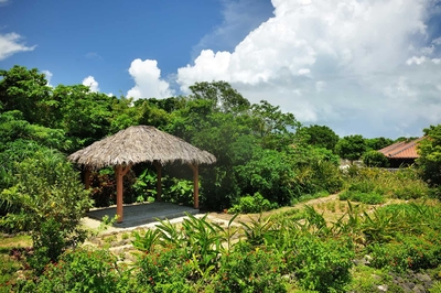 N1lDgCJRpgOFMecosyV5.jpg?w=940&h=940