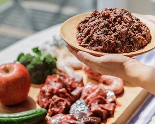 SNSで話題の「HUGBOX」インターペット2025に初出展！ 愛犬の健康を支える生食ブレンドフードをお届けします