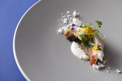 N32OoBWL8GvBFwDtMd6m.jpg?w=940&h=940