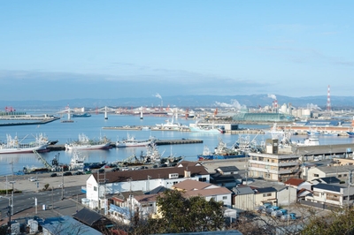 N4RfGus4Bnm8pfZdkHGu.jpeg?w=940&h=940