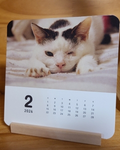 N6SvEnf8QfZW9Fj2FzV7.jpeg?w=940&h=940