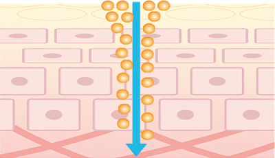 N8L8T69LZ1ljZ3Ujpkwm.png?w=940&h=940