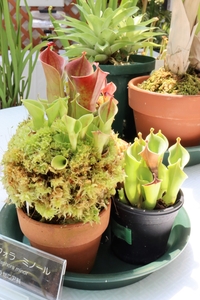 N8NEW1x6BsgqfDvPyvae.jpg?w=940&h=940