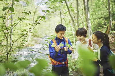 N8c7gf6zVqLfTKXgqLHs.jpg?w=940&h=940