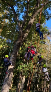 N8nxHYBOKU72joaqQhkJ.jpg?w=940&h=940