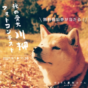 N8qkTicZxTStcaSODSfZ.jpg?w=940&h=940