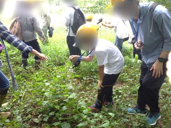 希少植物の保全活動を体験できる「プレミアムサンクチュアリツアー」を開催【7月12日(土) ・小山内裏公園】