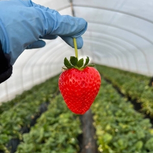 NBpJY7ZVUMWVj20PJ9zw.jpg?w=940&h=940