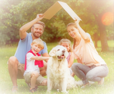 NF8xOuPJJTpVxlYShfii.jpeg?w=940&h=940