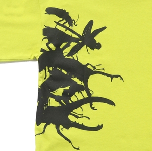 NFwGELy15EDUFx3tNRrx.jpg?w=940&h=940