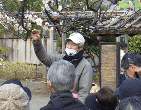 野草ウォッチング(過年度の様子)