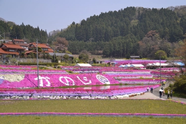 【山口県周南市】第13回大道理芝桜まつりと長野山の山開き