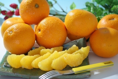 NHweq6YabczVVKcVDi6X.jpeg?w=940&h=940