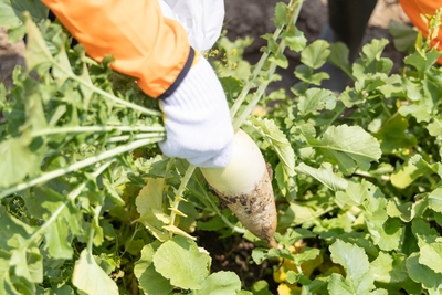 NIQ3bPXUqm4qyx3jP6vR.jpg?w=940&h=940