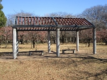 NJdinGNC8fDrz8wXMfFQ.jpg?w=940&h=940