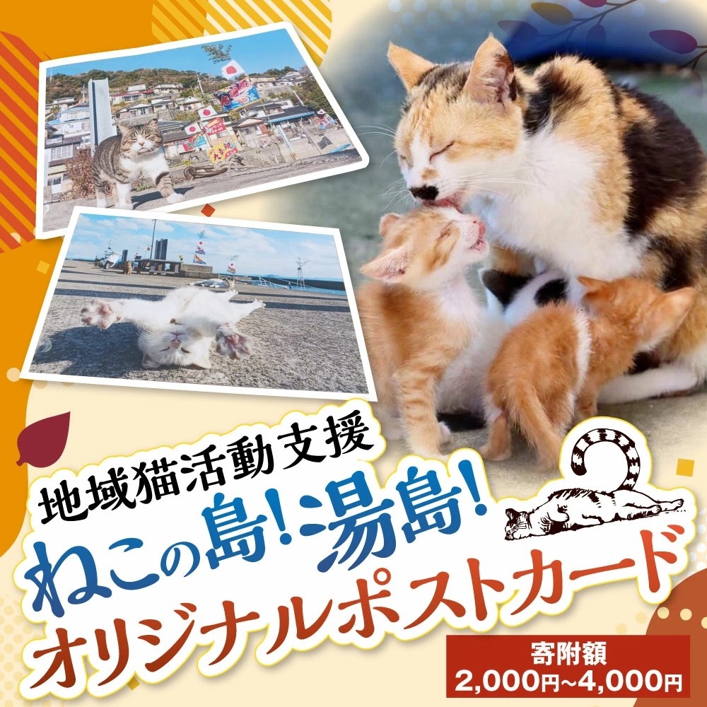 【熊本県上天草市ふるさと納税】地域猫活動支援「ねこの島!湯島!オリジナルポストカード」が受付中