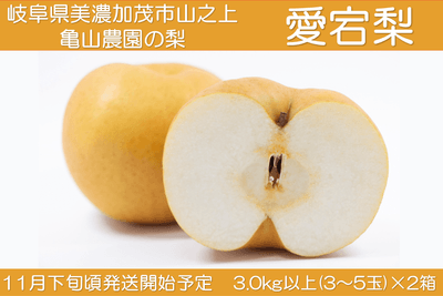 NKGfYPW8NVhuagH81Dgy.png?w=940&h=940