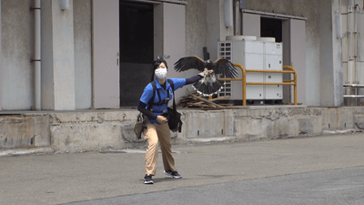 NLhr7WkBZeQlRe5M7Q2d.png?w=940&h=940