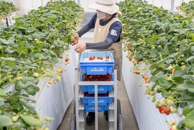 NMJw0DzJRdBatTadBXDF.jpg?w=940&h=940