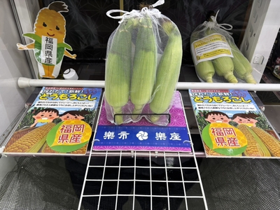NNJbm7jCA5eUgOJQuCrV.jpg?w=940&h=940