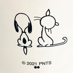 NOypRZnYKksP8HGx8vDJ.jpg?w=940&h=940