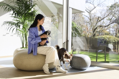 屋内ドッグラン