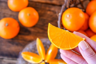 NQyQ12miCebXZ8HKCNQR.jpg?w=940&h=940