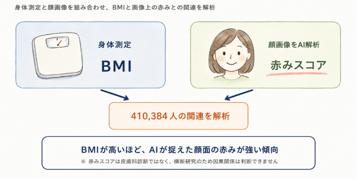 大阪・関西万博に来場した41万人超の健康測定データをAIで解析 BMIが高いほど顔面の「赤みスコア」が高いことを発見