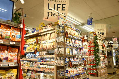 NRYYs42CcG6ofIQvfYmS.png?w=940&h=940