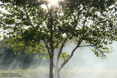 NRvcpskeT4OSOlgMXUkf.jpg?w=940&h=940