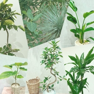 NU5QtBPI4zSFJLgajR28.jpg?w=940&h=940