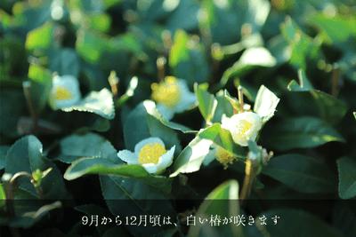 NUPqcuwUpE2J3MZwlmaY.png?w=940&h=940