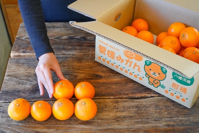 NV2dsREMGrExWpKA5OGb.jpg?w=940&h=940