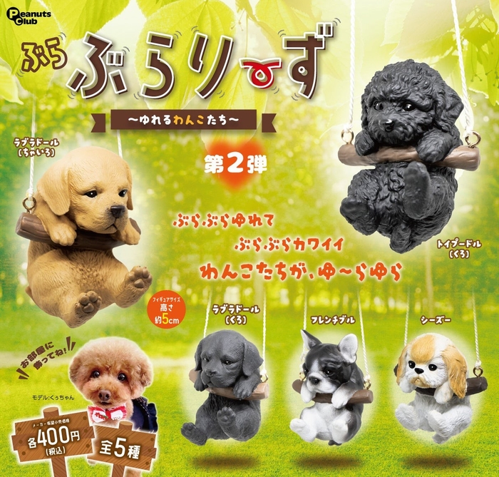 トイプードル（黒）