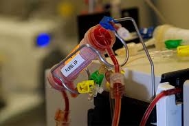 NXVwpFVAD637rqcg3uRQ.jpg?w=940&h=940