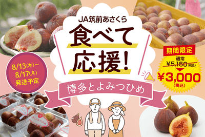 【食べて応援！特別価格！8/13～8/17発送予定】いちじく『博多とよみつひめ』約１.２㎏