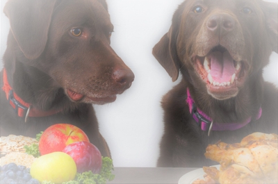 NXswr0Hhs3YZH4C3pmzs.jpeg?w=940&h=940