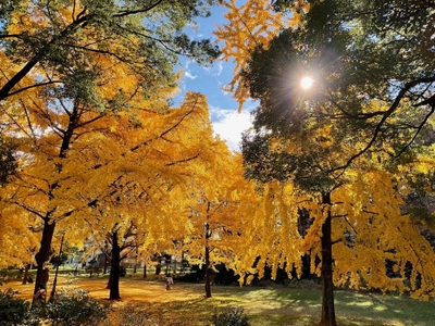 NY8HwjbXSULvNbSm8jgL.jpg?w=940&h=940