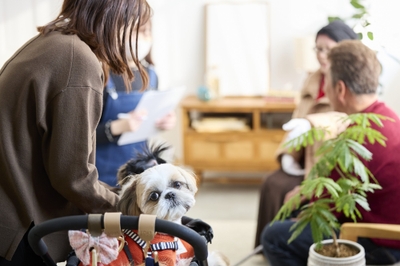 NYLO6KHyDCbvQtHk1K3S.jpg?w=940&h=940