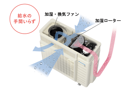 NYWainCtSuVy8DHFO3ez.png?w=940&h=940