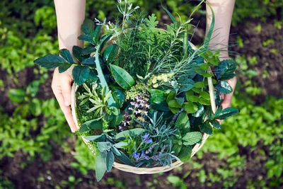 NYmK0Rhuvrr80diPfWot.jpg?w=940&h=940