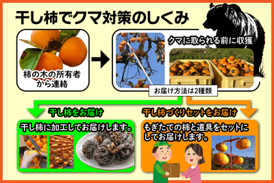 NZ8UTcMtQNOvN4VrE3KO.png?w=940&h=940