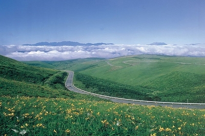 ビーナスライン