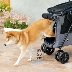 Na4XxJZu1y98npezTIYK.jpg?w=940&h=940